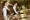 A blurred image of a hotel front desk with a bell to ring and two hotel workers.